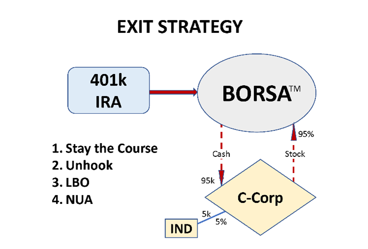 BORSA/ROBS exit strategy